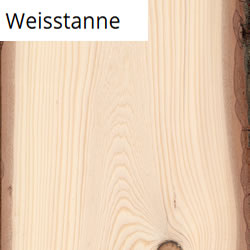 Weisstanne