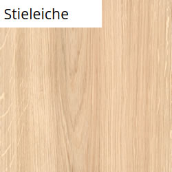 Stieleiche