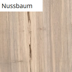 Nussbaum