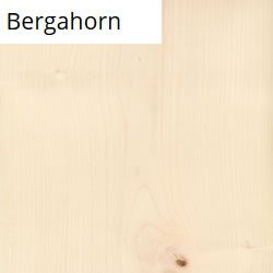 Bergahorn