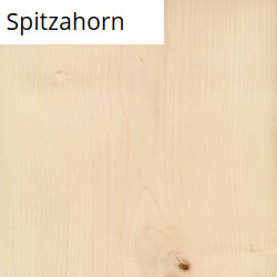 Spitzahorn