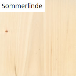 Sommerlinde