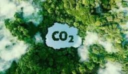 CO2